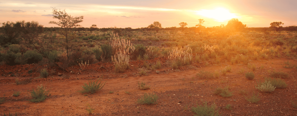 A glowing campfire in the Australian Outback at night, surrounded by red earth and native bush under a star-filled sky