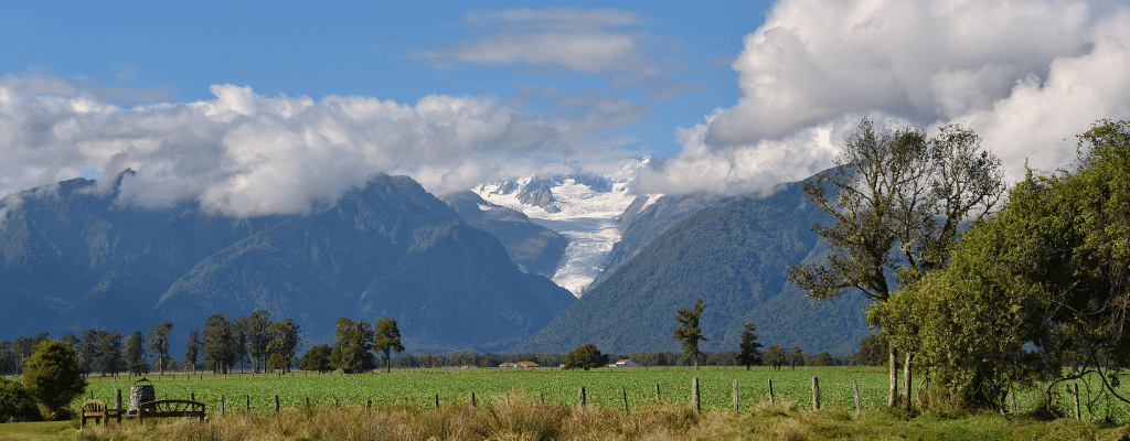 Skydiver above Fox Glacier in New Zealand – dramatic aerial view of ice fields, snowy peaks, and lush rainforest below