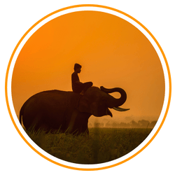 a children on elephant