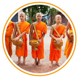 A line of Buddhist monks wearing vibrant saffron-colored robes participating in the traditional morning alms giving ceremony in Luang Prabang