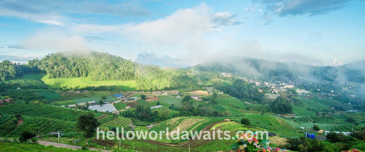 A wide landscape view of rolling green hills and terraced farmland in Thailand, partially covered by low-hanging morning mist under a blue sky.
