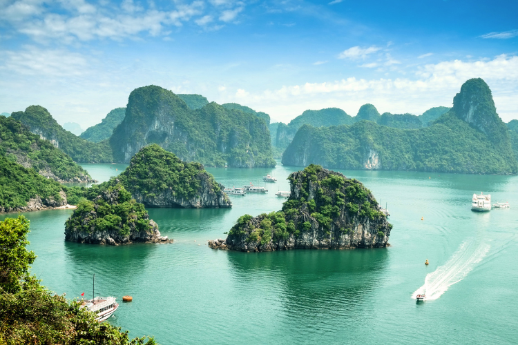 A breathtaking wide-angle aerial view of Ha Long Bay, Vietnam, featuring numerous lush, green limestone karsts and islets rising from calm emerald waters. Several traditional wooden cruise ships and small boats are scattered throughout the bay, creating a sense of scale against the towering cliffs and the misty, mountainous horizon under a soft, overcast sky.