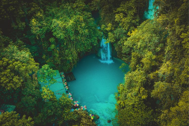 Aerial bird's-eye view of a turquoise blue natural pool at Kawasan Falls in Cebu, Philippines, surrounded by lush green tropical rainforest trees and small colorful umbrellas near the water's edge."