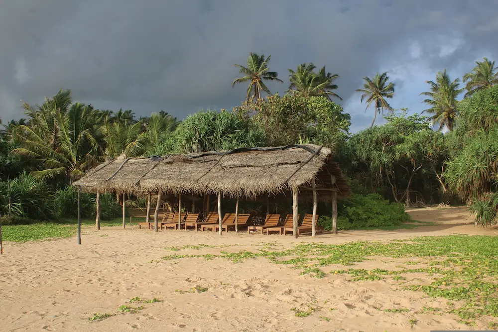 Beach at Bentota, southwest coast Sri Lanka