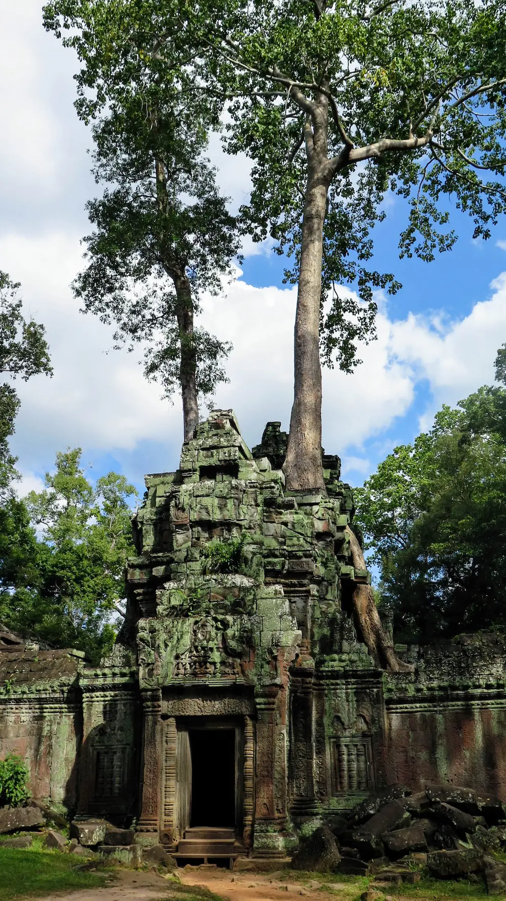 Tree roots growing over Ta Prohm temple ruins, Cambodia